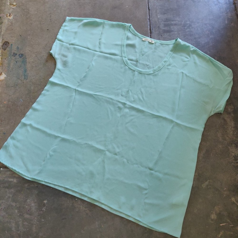 Nordstrom Soprano Mint Green Sheer Top